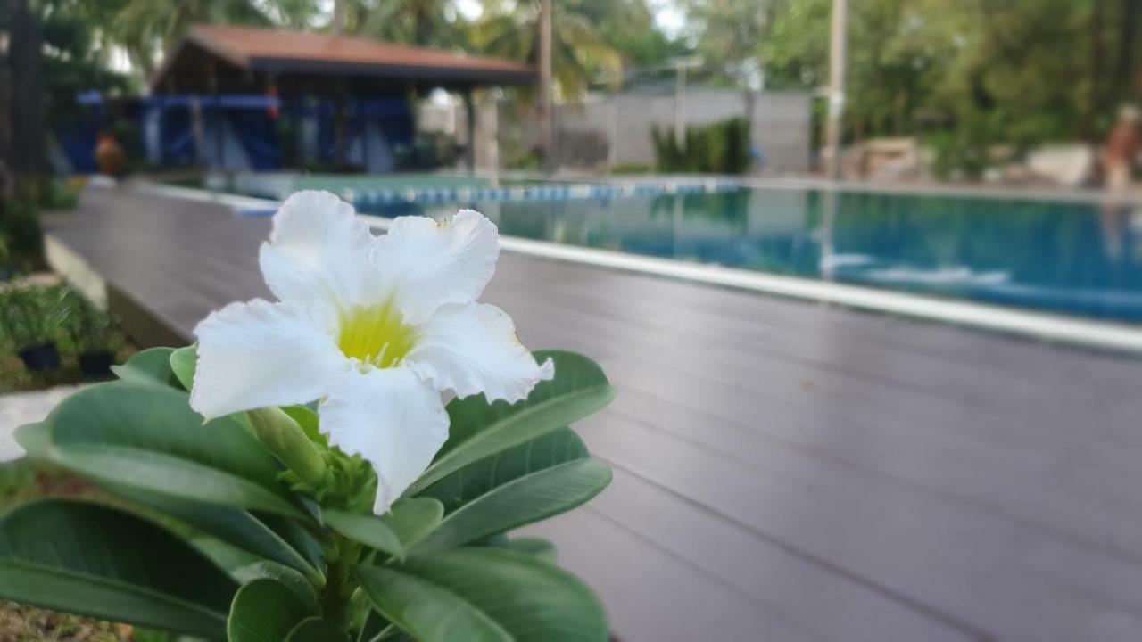 Moonshine Resort Chumphon Zewnętrze zdjęcie